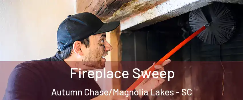 Fireplace Sweep Autumn Chase/Magnolia Lakes - SC