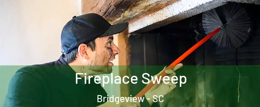 Fireplace Sweep Bridgeview - SC