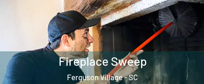 Fireplace Sweep Ferguson Village - SC