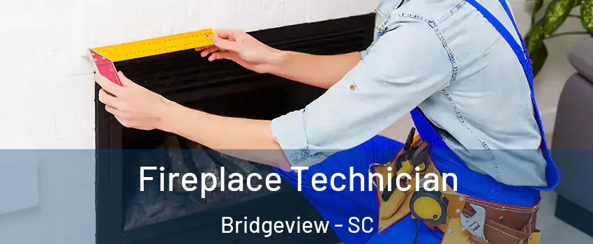 Fireplace Technician Bridgeview - SC