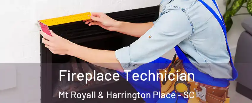 Fireplace Technician Mt Royall & Harrington Place - SC