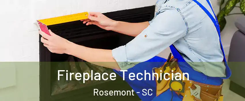 Fireplace Technician Rosemont - SC