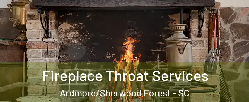 Fireplace Throat Services Ardmore/Sherwood Forest - SC