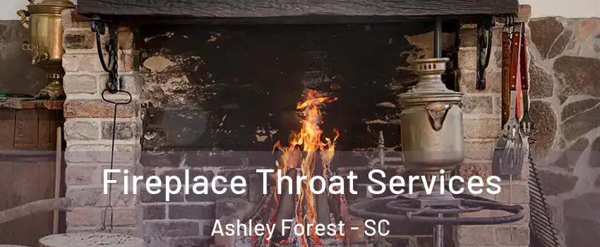 Fireplace Throat Services Ashley Forest - SC