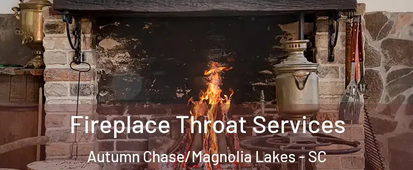 Fireplace Throat Services Autumn Chase/Magnolia Lakes - SC