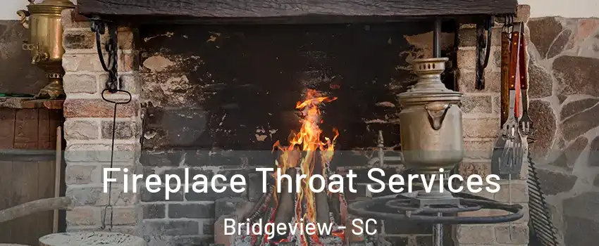 Fireplace Throat Services Bridgeview - SC