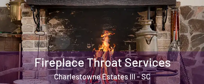 Fireplace Throat Services Charlestowne Estates III - SC