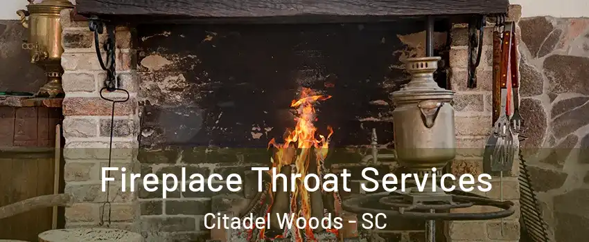 Fireplace Throat Services Citadel Woods - SC