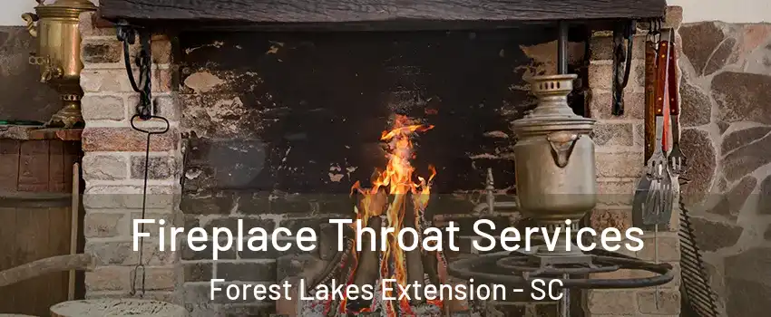 Fireplace Throat Services Forest Lakes Extension - SC