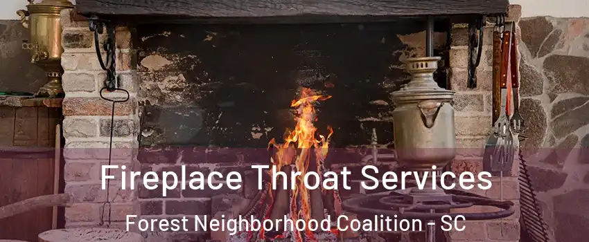 Fireplace Throat Services Forest Neighborhood Coalition - SC