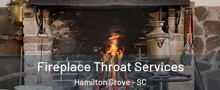 Fireplace Throat Services Hamilton Grove - SC