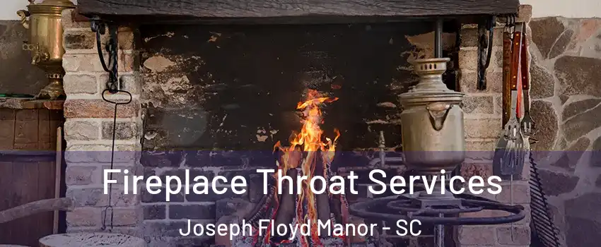 Fireplace Throat Services Joseph Floyd Manor - SC