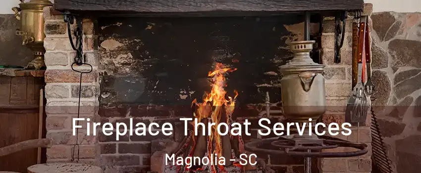 Fireplace Throat Services Magnolia - SC