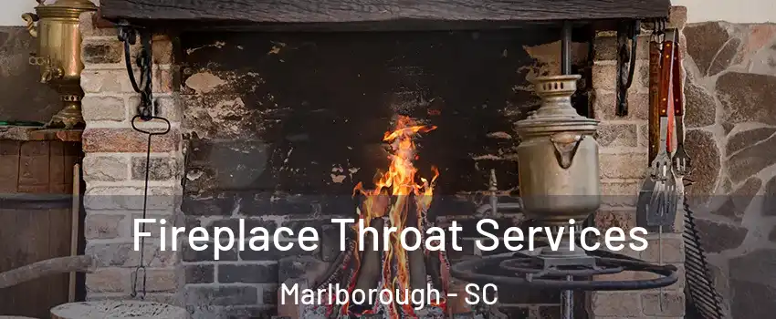 Fireplace Throat Services Marlborough - SC