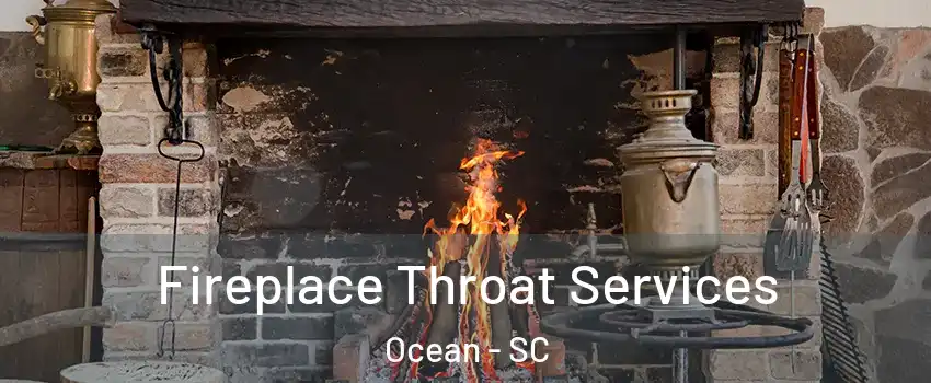 Fireplace Throat Services Ocean - SC