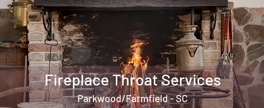 Fireplace Throat Services Parkwood/Farmfield - SC