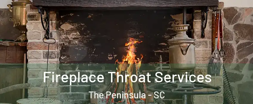 Fireplace Throat Services The Peninsula - SC