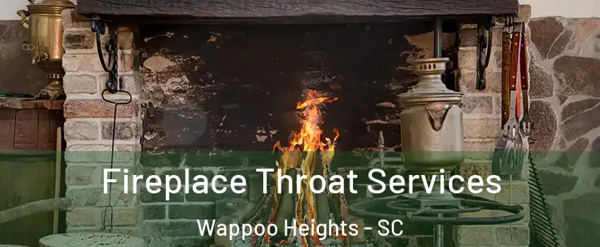 Fireplace Throat Services Wappoo Heights - SC