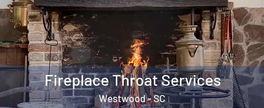 Fireplace Throat Services Westwood - SC