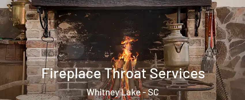 Fireplace Throat Services Whitney Lake - SC