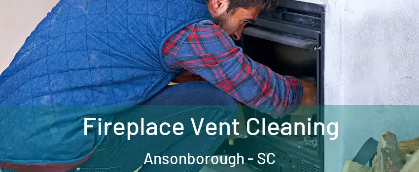 Fireplace Vent Cleaning Ansonborough - SC