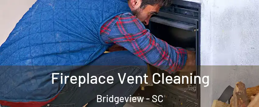 Fireplace Vent Cleaning Bridgeview - SC