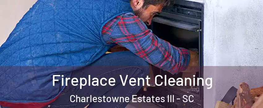 Fireplace Vent Cleaning Charlestowne Estates III - SC