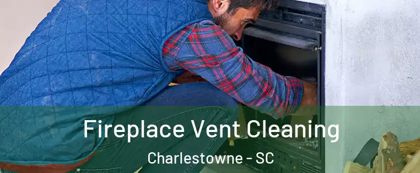 Fireplace Vent Cleaning Charlestowne - SC