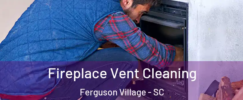 Fireplace Vent Cleaning Ferguson Village - SC