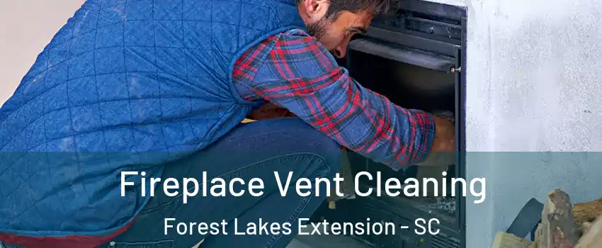 Fireplace Vent Cleaning Forest Lakes Extension - SC