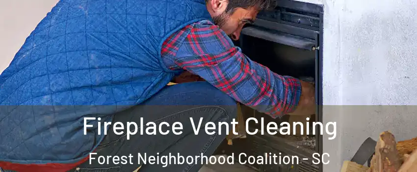 Fireplace Vent Cleaning Forest Neighborhood Coalition - SC