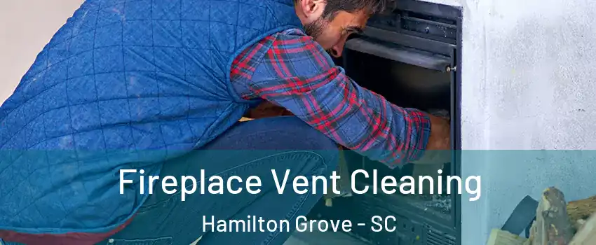 Fireplace Vent Cleaning Hamilton Grove - SC