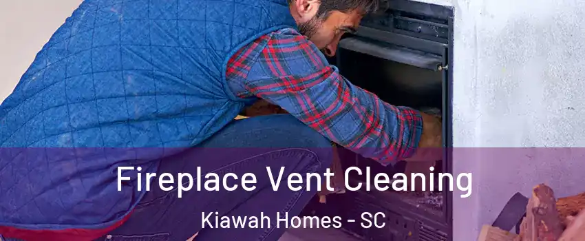 Fireplace Vent Cleaning Kiawah Homes - SC