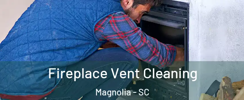 Fireplace Vent Cleaning Magnolia - SC