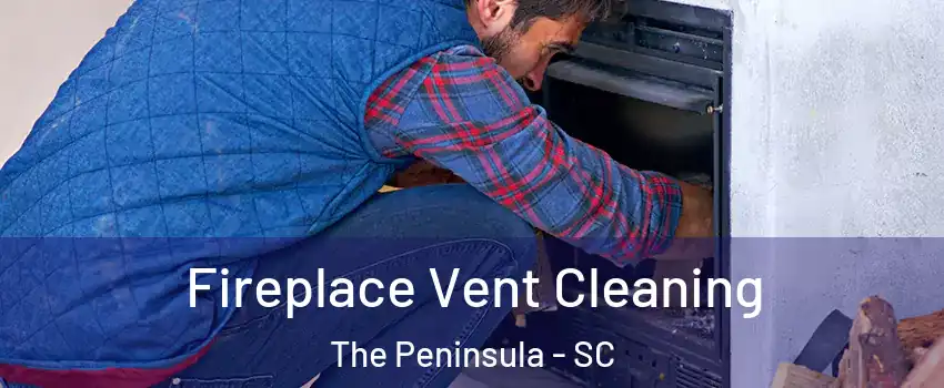 Fireplace Vent Cleaning The Peninsula - SC