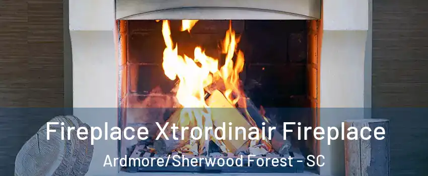 Fireplace Xtrordinair Fireplace Ardmore/Sherwood Forest - SC