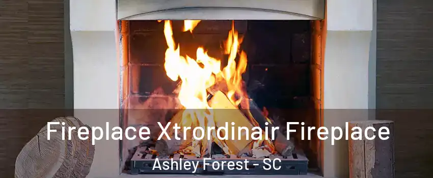 Fireplace Xtrordinair Fireplace Ashley Forest - SC