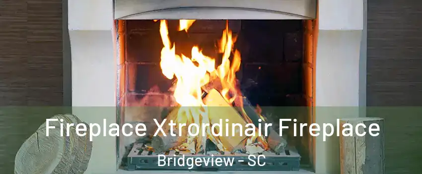 Fireplace Xtrordinair Fireplace Bridgeview - SC