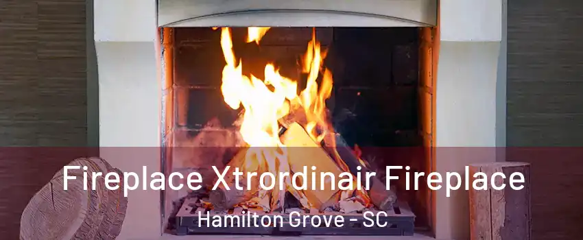 Fireplace Xtrordinair Fireplace Hamilton Grove - SC