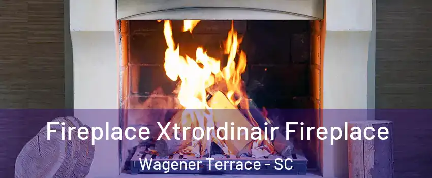 Fireplace Xtrordinair Fireplace Wagener Terrace - SC