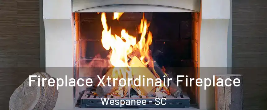 Fireplace Xtrordinair Fireplace Wespanee - SC