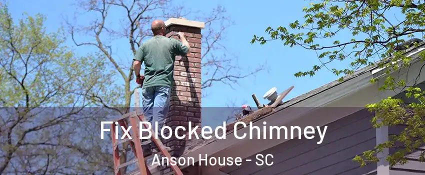 Fix Blocked Chimney Anson House - SC