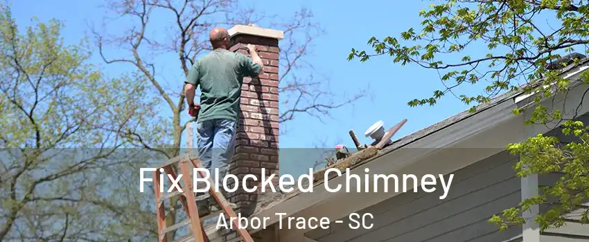 Fix Blocked Chimney Arbor Trace - SC