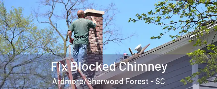 Fix Blocked Chimney Ardmore/Sherwood Forest - SC