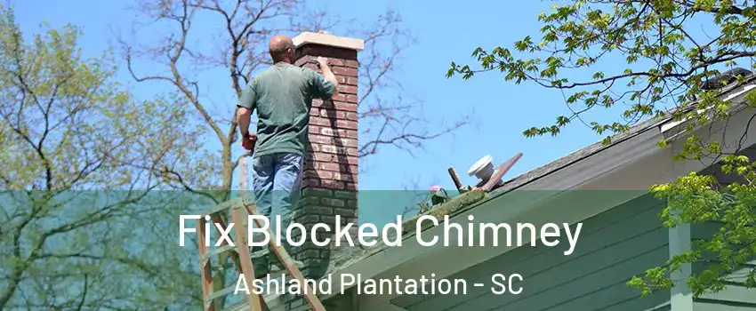 Fix Blocked Chimney Ashland Plantation - SC