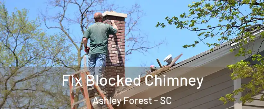 Fix Blocked Chimney Ashley Forest - SC