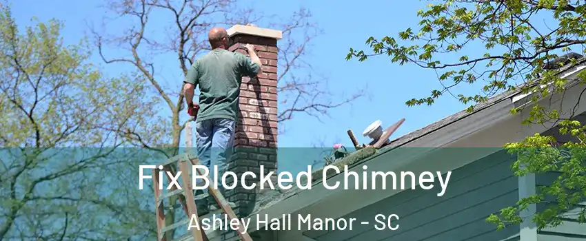 Fix Blocked Chimney Ashley Hall Manor - SC