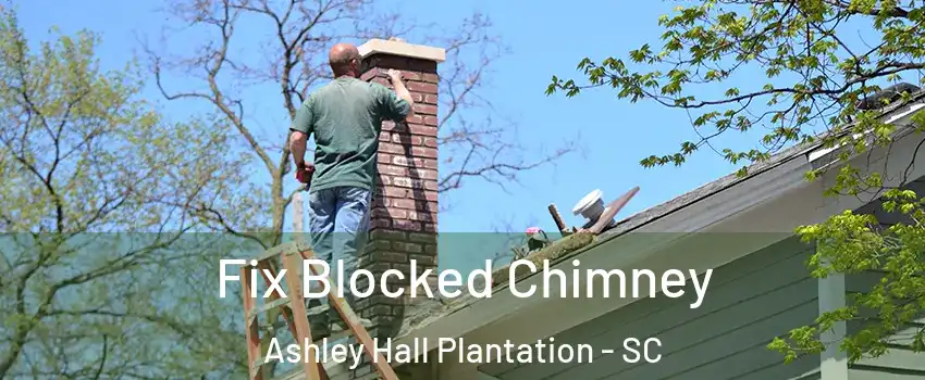 Fix Blocked Chimney Ashley Hall Plantation - SC