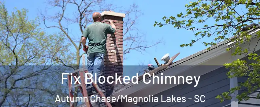 Fix Blocked Chimney Autumn Chase/Magnolia Lakes - SC