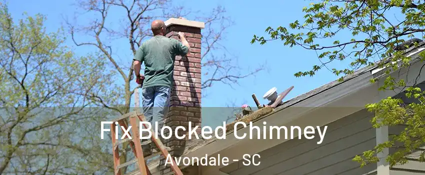 Fix Blocked Chimney Avondale - SC